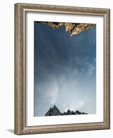 Looking Up at the Sky in the Alpine Lakes Wilderness Area, Washington-Steven Gnam-Framed Photographic Print