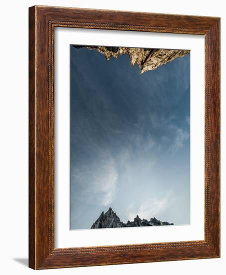 Looking Up at the Sky in the Alpine Lakes Wilderness Area, Washington-Steven Gnam-Framed Photographic Print