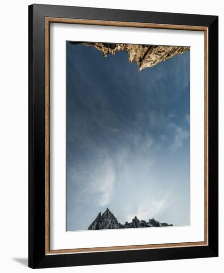 Looking Up at the Sky in the Alpine Lakes Wilderness Area, Washington-Steven Gnam-Framed Photographic Print