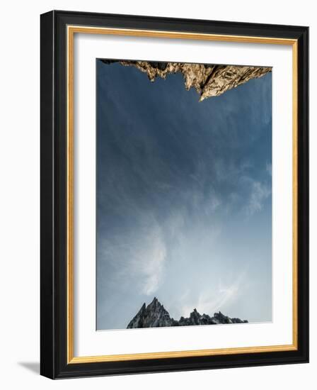 Looking Up at the Sky in the Alpine Lakes Wilderness Area, Washington-Steven Gnam-Framed Photographic Print