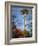 Looking up at the Space Needle, Seattle, Washington, USA-Janis Miglavs-Framed Photographic Print