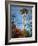 Looking up at the Space Needle, Seattle, Washington, USA-Janis Miglavs-Framed Photographic Print