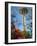 Looking up at the Space Needle, Seattle, Washington, USA-Janis Miglavs-Framed Photographic Print