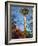 Looking up at the Space Needle, Seattle, Washington, USA-Janis Miglavs-Framed Photographic Print