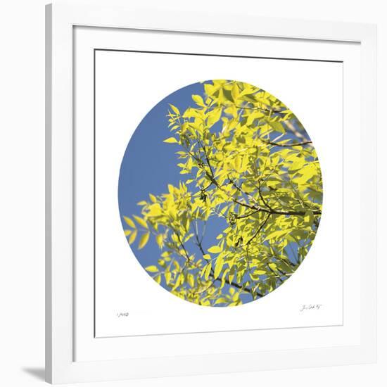 Looking Up Circle-Joy Doherty-Framed Giclee Print