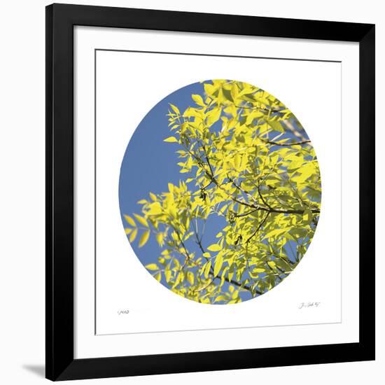 Looking Up Circle-Joy Doherty-Framed Giclee Print