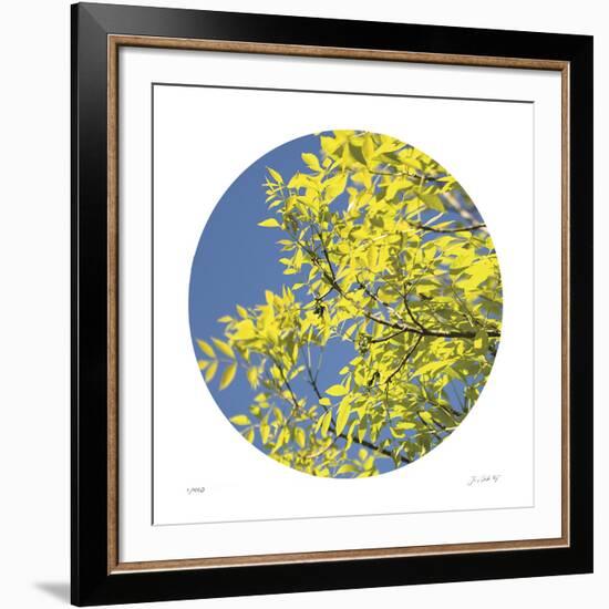 Looking Up Circle-Joy Doherty-Framed Giclee Print