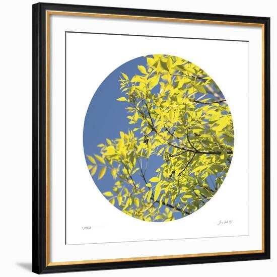 Looking Up Circle-Joy Doherty-Framed Giclee Print