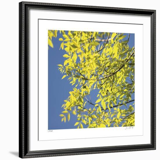 Looking Up Square-Joy Doherty-Framed Giclee Print