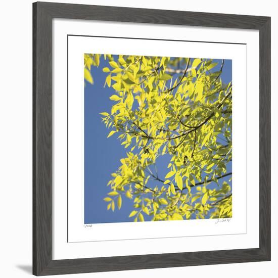 Looking Up Square-Joy Doherty-Framed Giclee Print