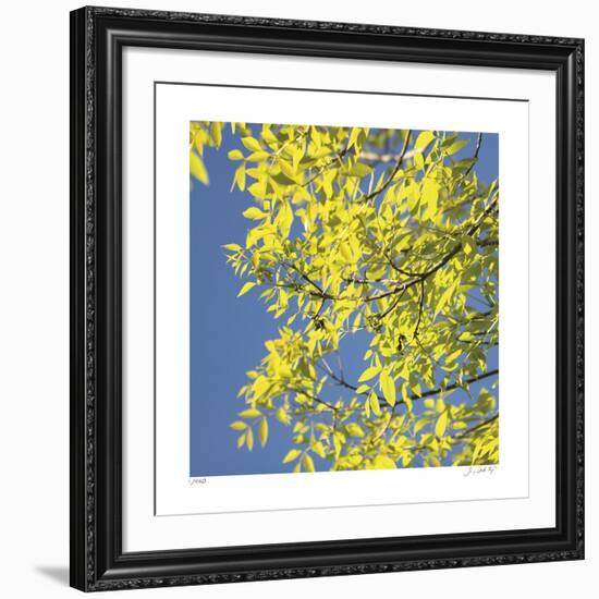 Looking Up Square-Joy Doherty-Framed Giclee Print