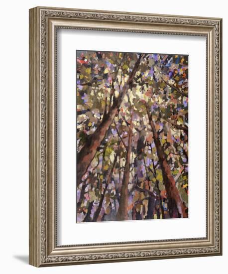 Looking Up Through Trees-Jean Cauthen-Framed Giclee Print