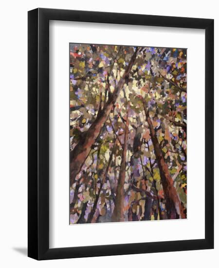 Looking Up Through Trees-Jean Cauthen-Framed Giclee Print