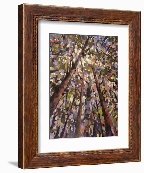 Looking Up Through Trees-Jean Cauthen-Framed Art Print