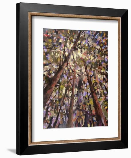 Looking Up Through Trees-Jean Cauthen-Framed Art Print