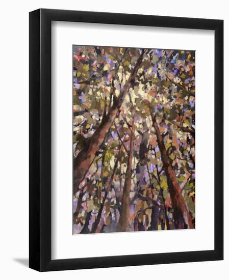 Looking Up Through Trees-Jean Cauthen-Framed Art Print