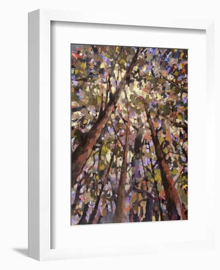 Looking Up Through Trees-Jean Cauthen-Framed Art Print