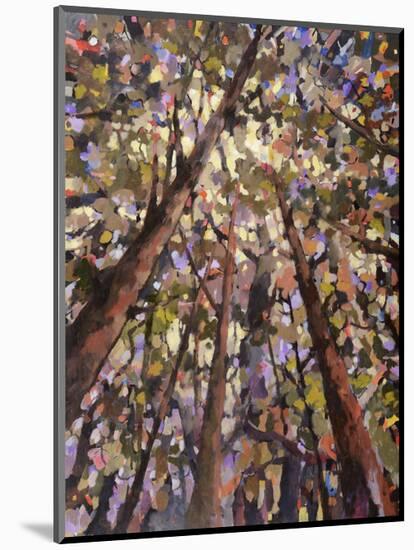 Looking Up Through Trees-Jean Cauthen-Mounted Art Print