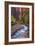 Looking Upstream II-Danny Head-Framed Photographic Print