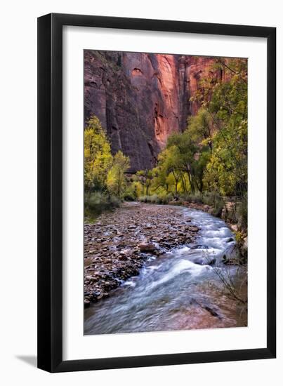 Looking Upstream II-Danny Head-Framed Photographic Print