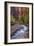 Looking Upstream II-Danny Head-Framed Photographic Print