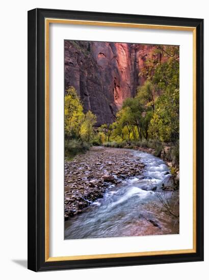 Looking Upstream II-Danny Head-Framed Photographic Print