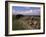 Looking West Along Hadrian's Wall, Unesco World Heritage Site, Near Greenhead, Cumbria, England-Richard Ashworth-Framed Photographic Print