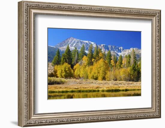 Looking West Toward Yosemite National Park's Tioga Pass Entrance-John Alves-Framed Photographic Print