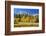 Looking West Toward Yosemite National Park's Tioga Pass Entrance-John Alves-Framed Photographic Print