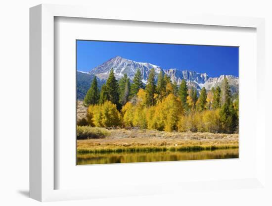 Looking West Toward Yosemite National Park's Tioga Pass Entrance-John Alves-Framed Photographic Print