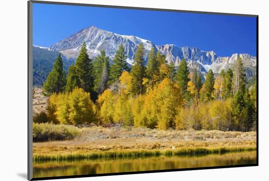 Looking West Toward Yosemite National Park's Tioga Pass Entrance-John Alves-Mounted Photographic Print