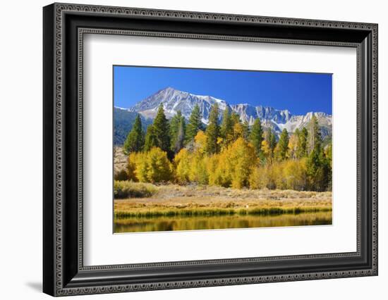 Looking West Toward Yosemite National Park's Tioga Pass Entrance-John Alves-Framed Photographic Print