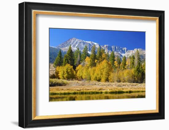 Looking West Toward Yosemite National Park's Tioga Pass Entrance-John Alves-Framed Photographic Print