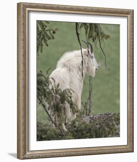 Lookout Ledge-Wink Gaines-Framed Giclee Print