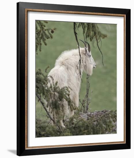 Lookout Ledge-Wink Gaines-Framed Giclee Print