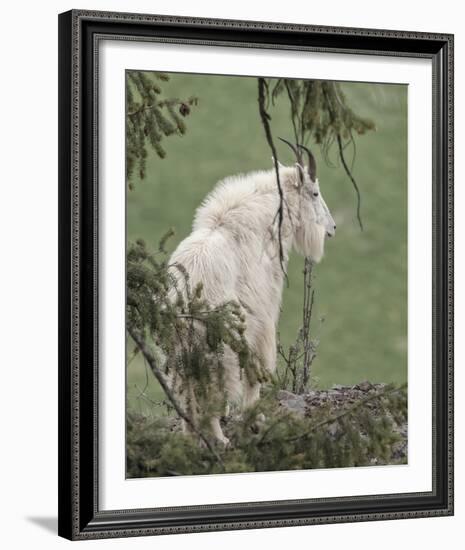 Lookout Ledge-Wink Gaines-Framed Giclee Print