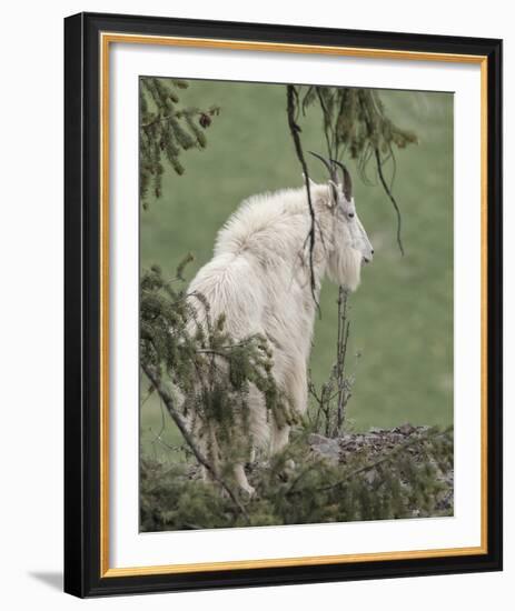 Lookout Ledge-Wink Gaines-Framed Giclee Print
