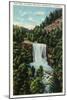 Lookout Mountain, Tennessee - View of Lula Falls-Lantern Press-Mounted Art Print