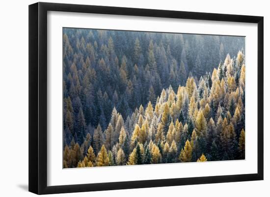 Lookout Pass-Jason Savage-Framed Art Print