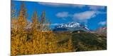 Photographic Print