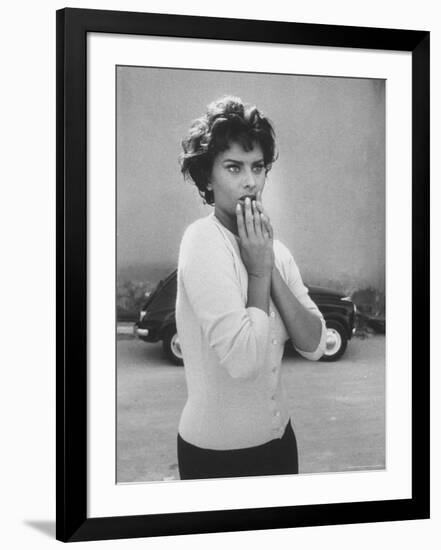 Premium Photographic Print, , large