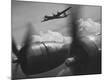 Premium Photographic Print