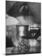 Photographic Print