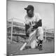 Premium Photographic Print