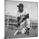 Premium Photographic Print