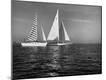 Photographic Print
