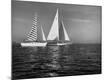 Photographic Print