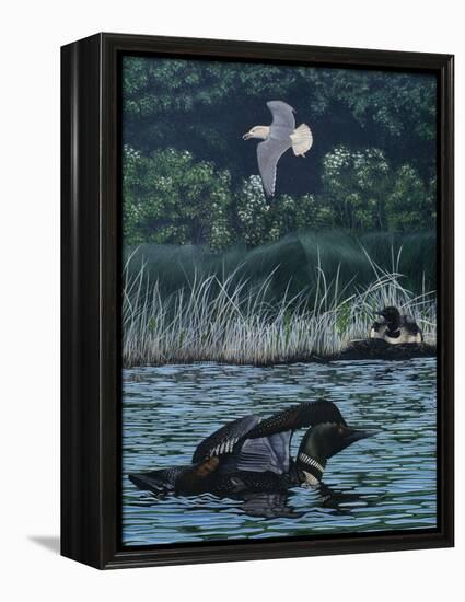 Loon Threat-Rusty Frentner-Framed Premier Image Canvas