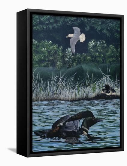 Loon Threat-Rusty Frentner-Framed Premier Image Canvas