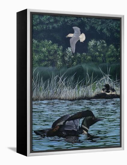 Loon Threat-Rusty Frentner-Framed Premier Image Canvas